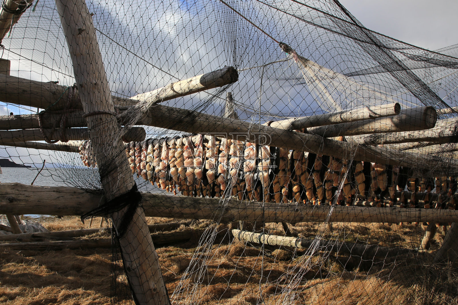 冰岛照片摄影图片