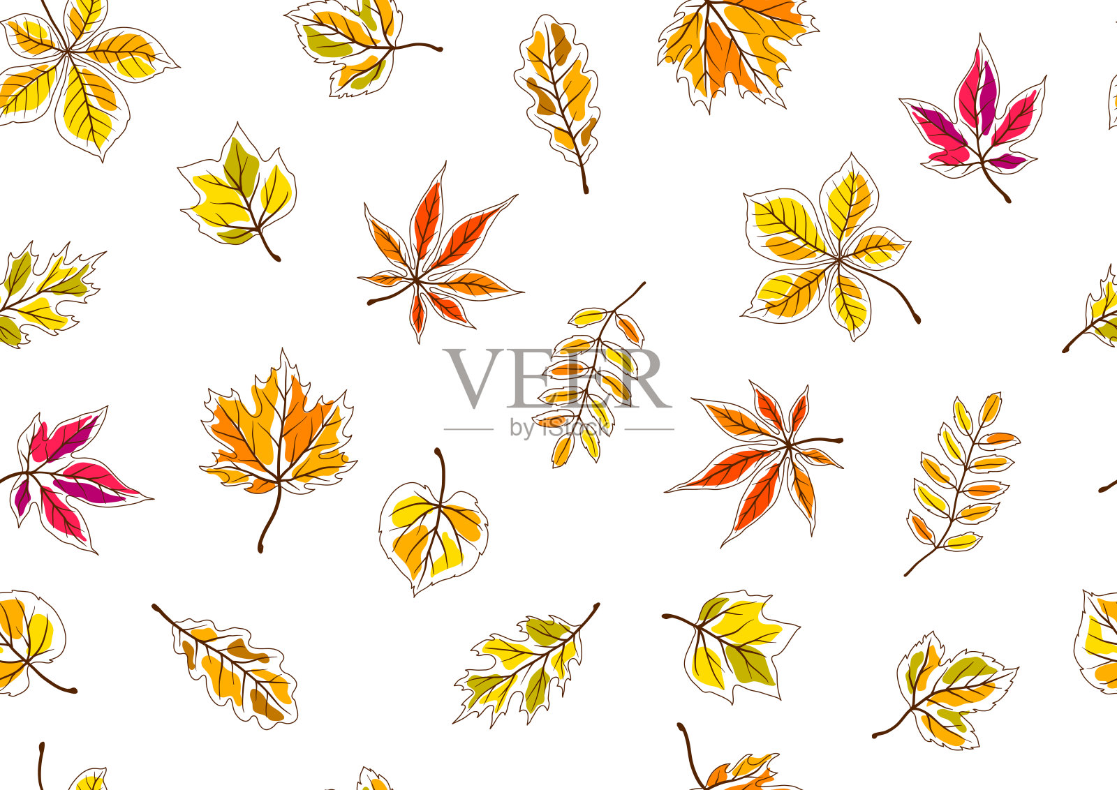 秋叶图案。背景与各种树叶。插画图片素材