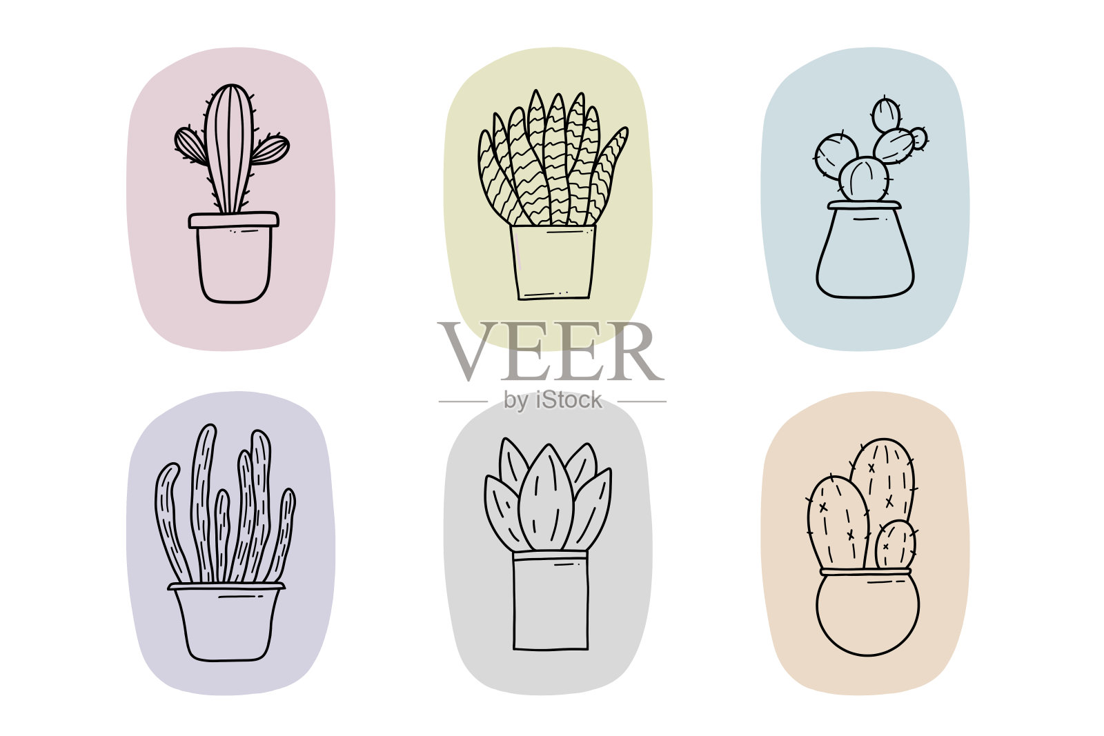 仙人掌插画图片素材