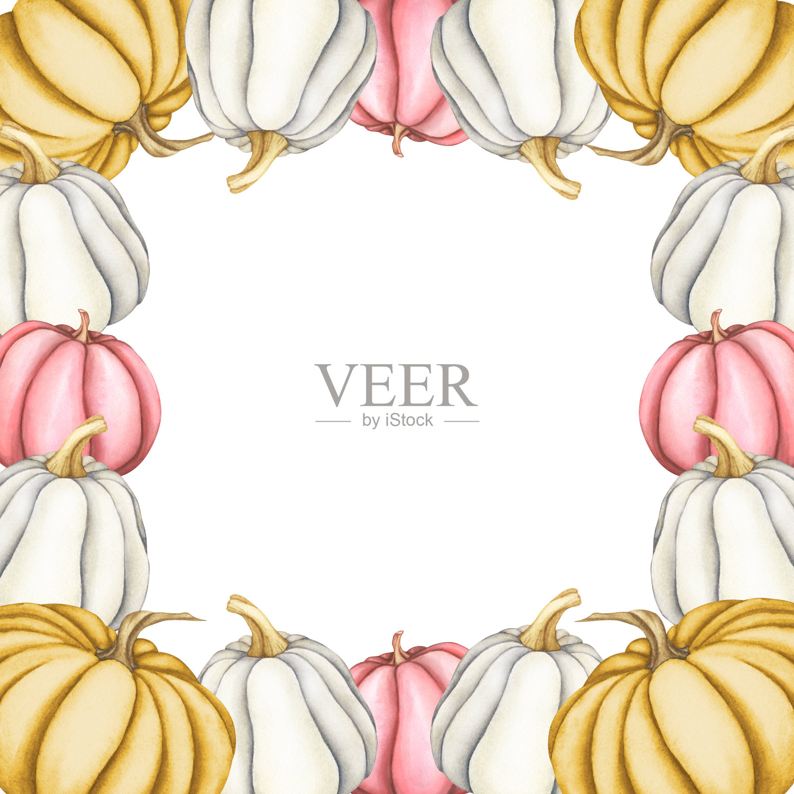 白色和橙色南瓜的方形框架与复制空间。水彩插图孤立的白色背景。手绘秋季丰收秋季感恩节假期设计。收获的概念插画图片素材