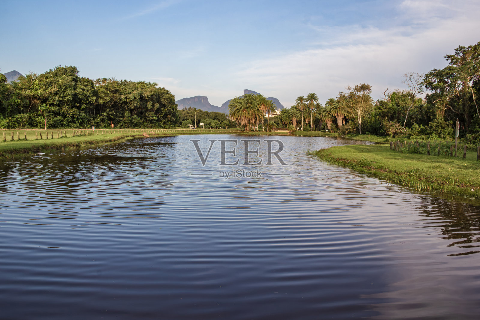 里约热内卢巴拉达蒂茹卡森林的泻湖照片摄影图片