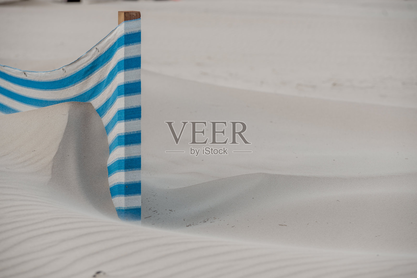 沙滩上沙质防风林的极简特写照片摄影图片