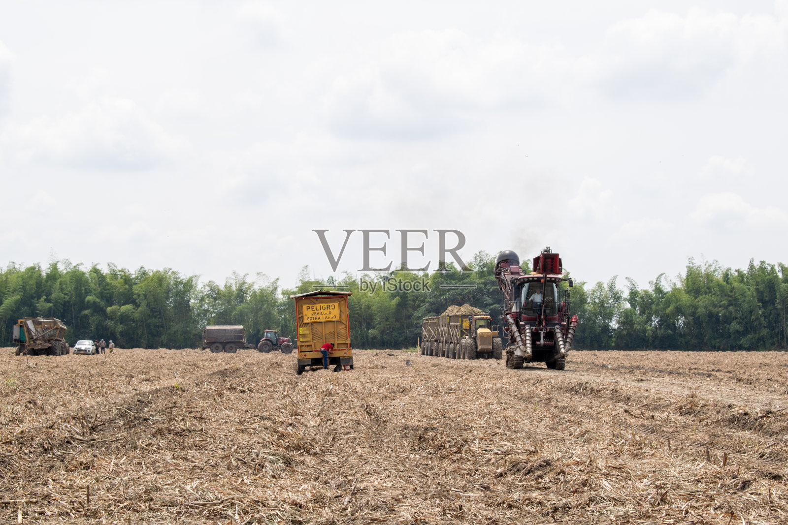 在农作物中工作的工业机械照片摄影图片