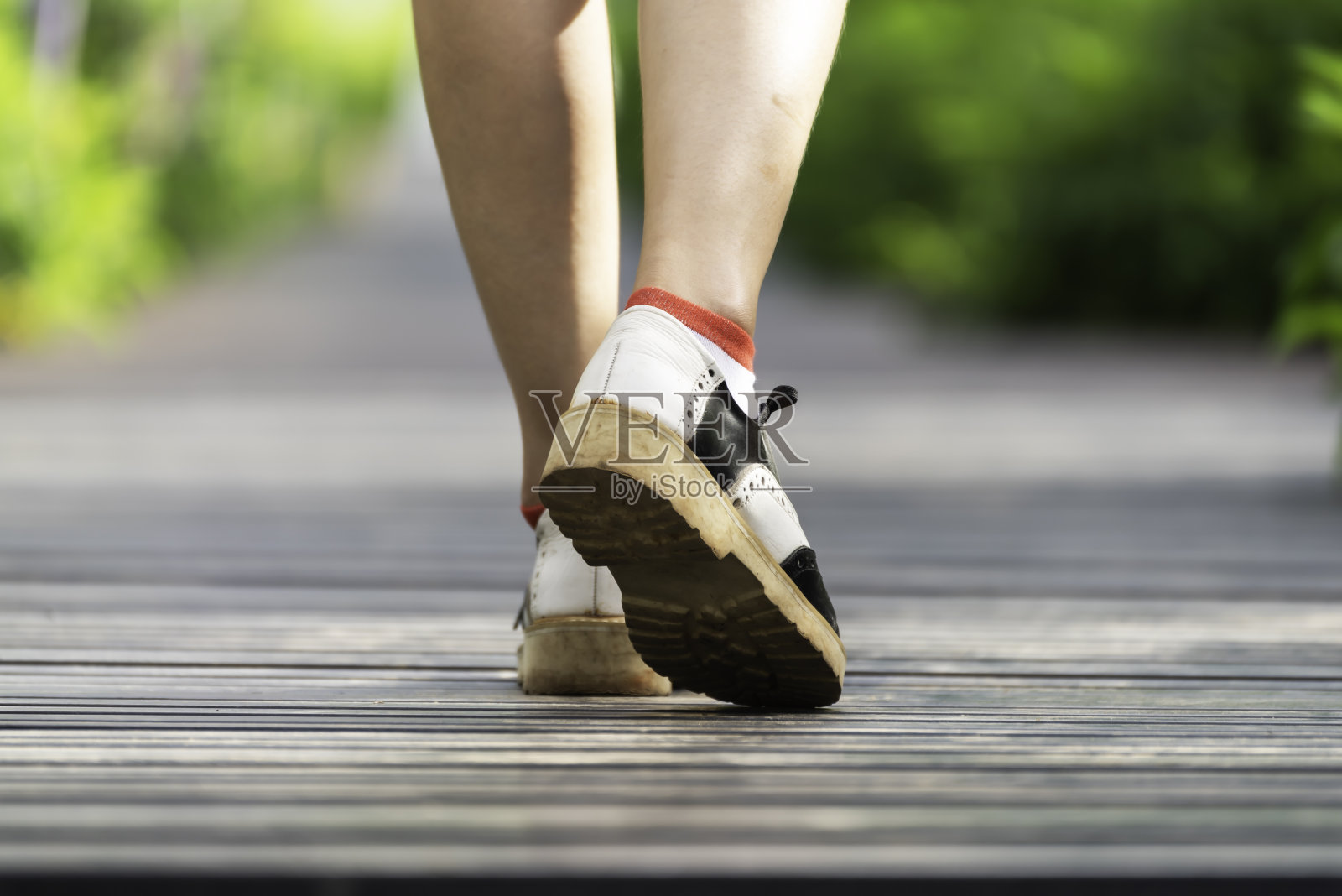 春天在森林里散步的特写镜头照片摄影图片