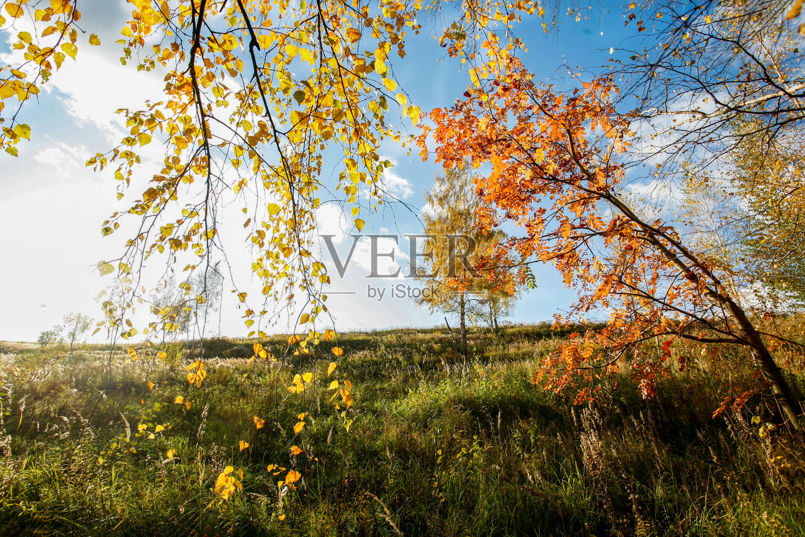 梦幻主题的秋天-橙色和黄色的秋天(秋叶色)-日出在秋天照片摄影图片