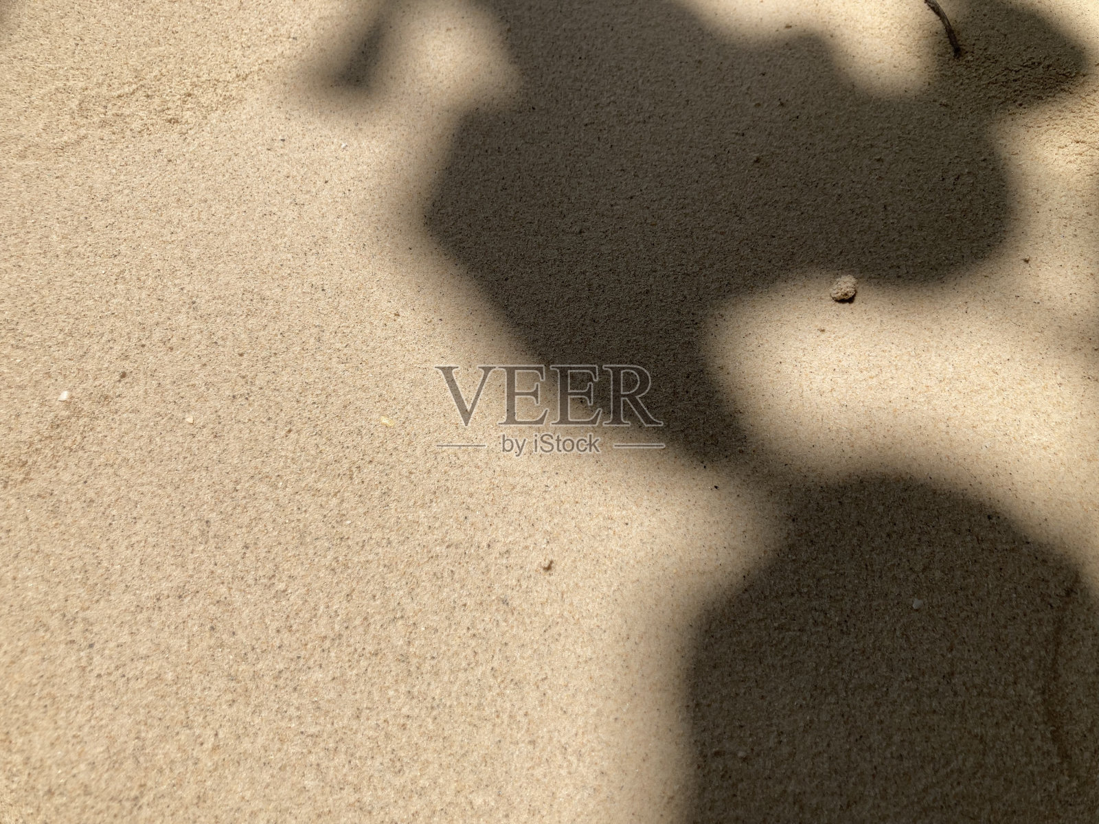 光滑的沙滩上树叶的阴影显示出类似世界地图的形状照片摄影图片