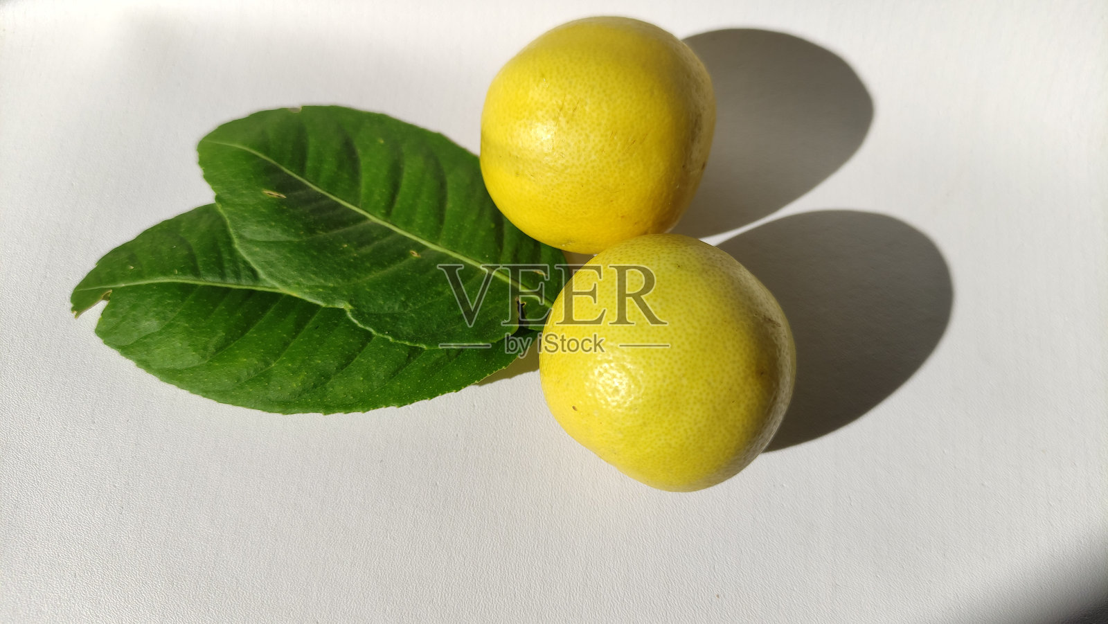 白色背景上鲜黄色柠檬的特写照片摄影图片
