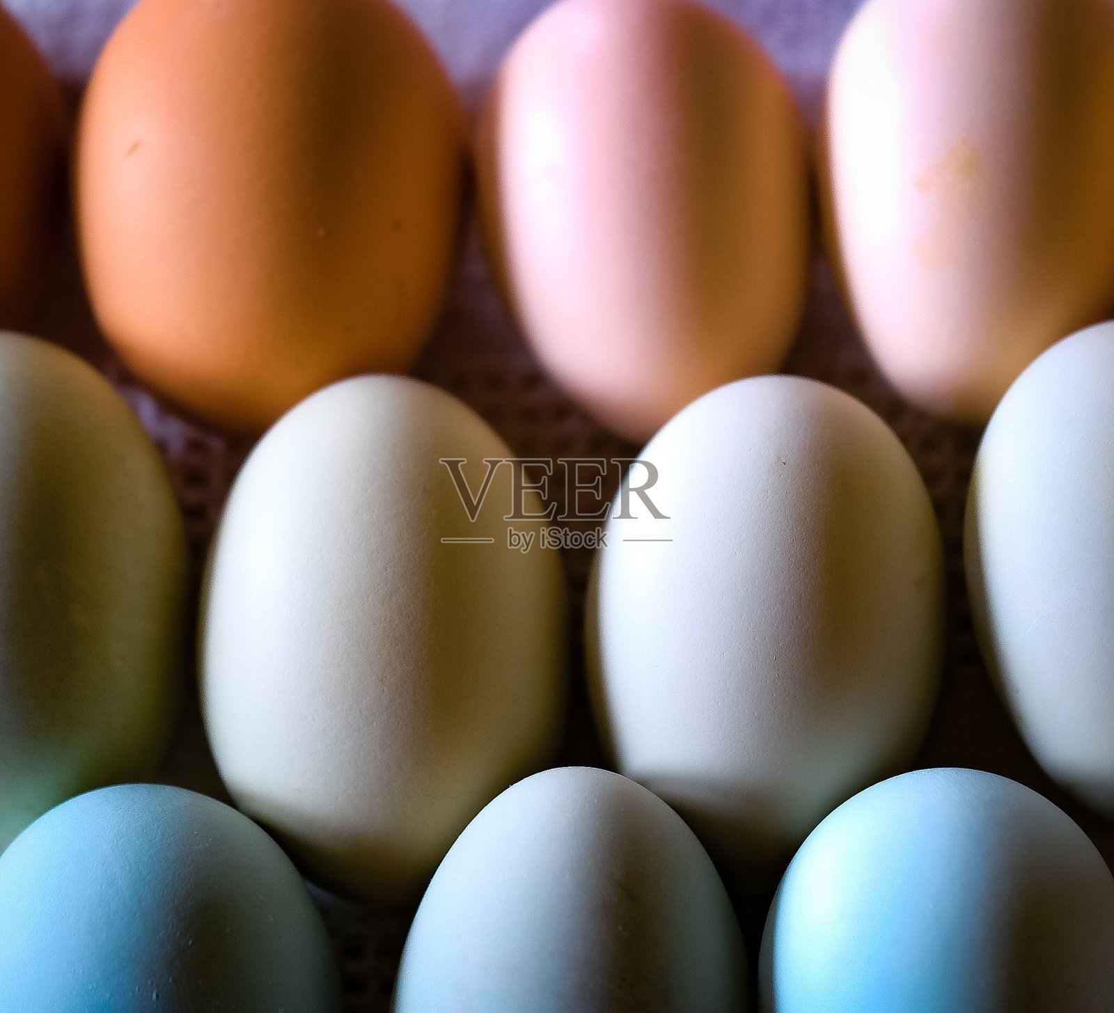 农场的鸡蛋照片摄影图片