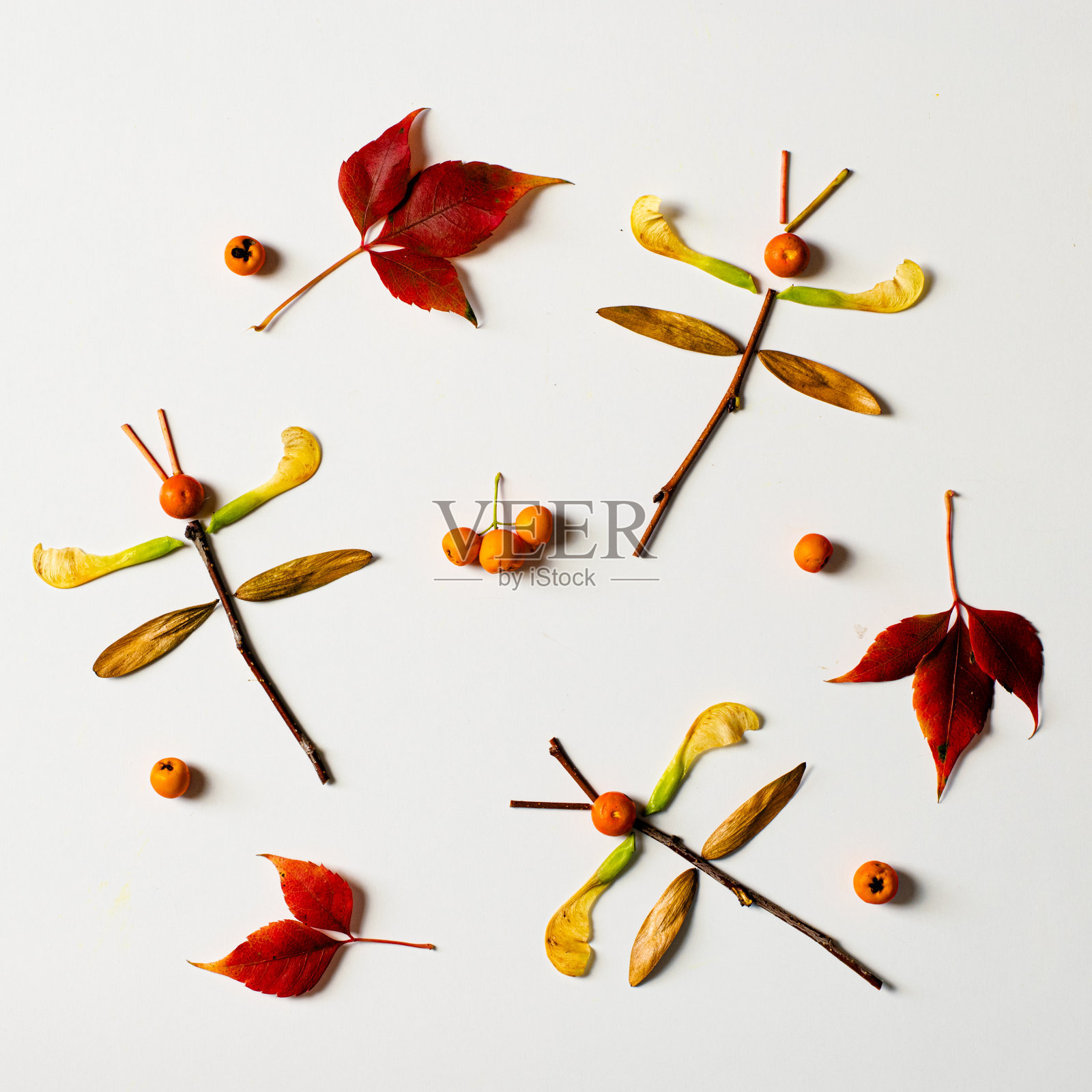 五彩缤纷的秋叶创意，孩子们的创意，与世隔绝，蜻蜓飞舞照片摄影图片