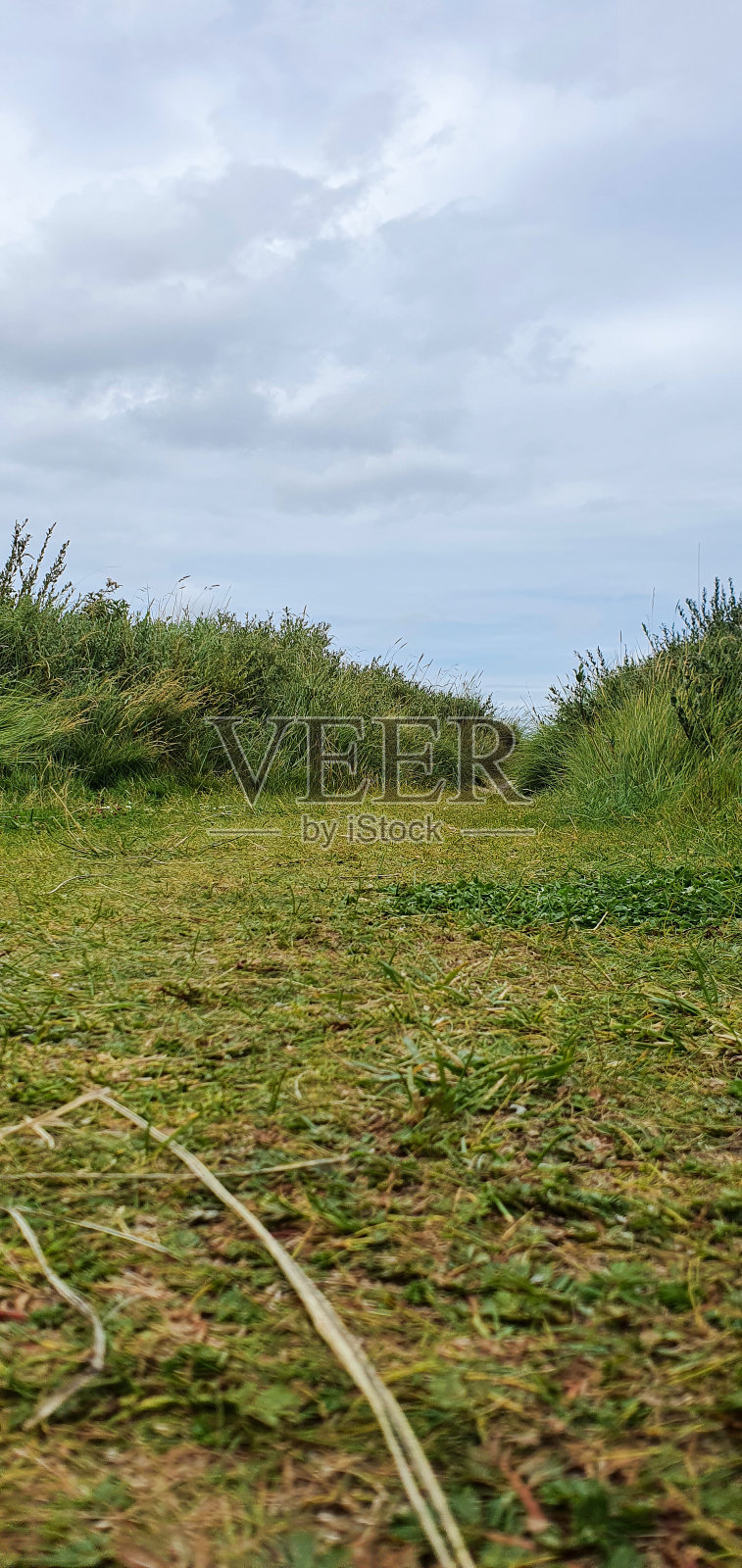 沙丘在北海海滩的德国北部-海岸美景和宁静的风景照片摄影图片