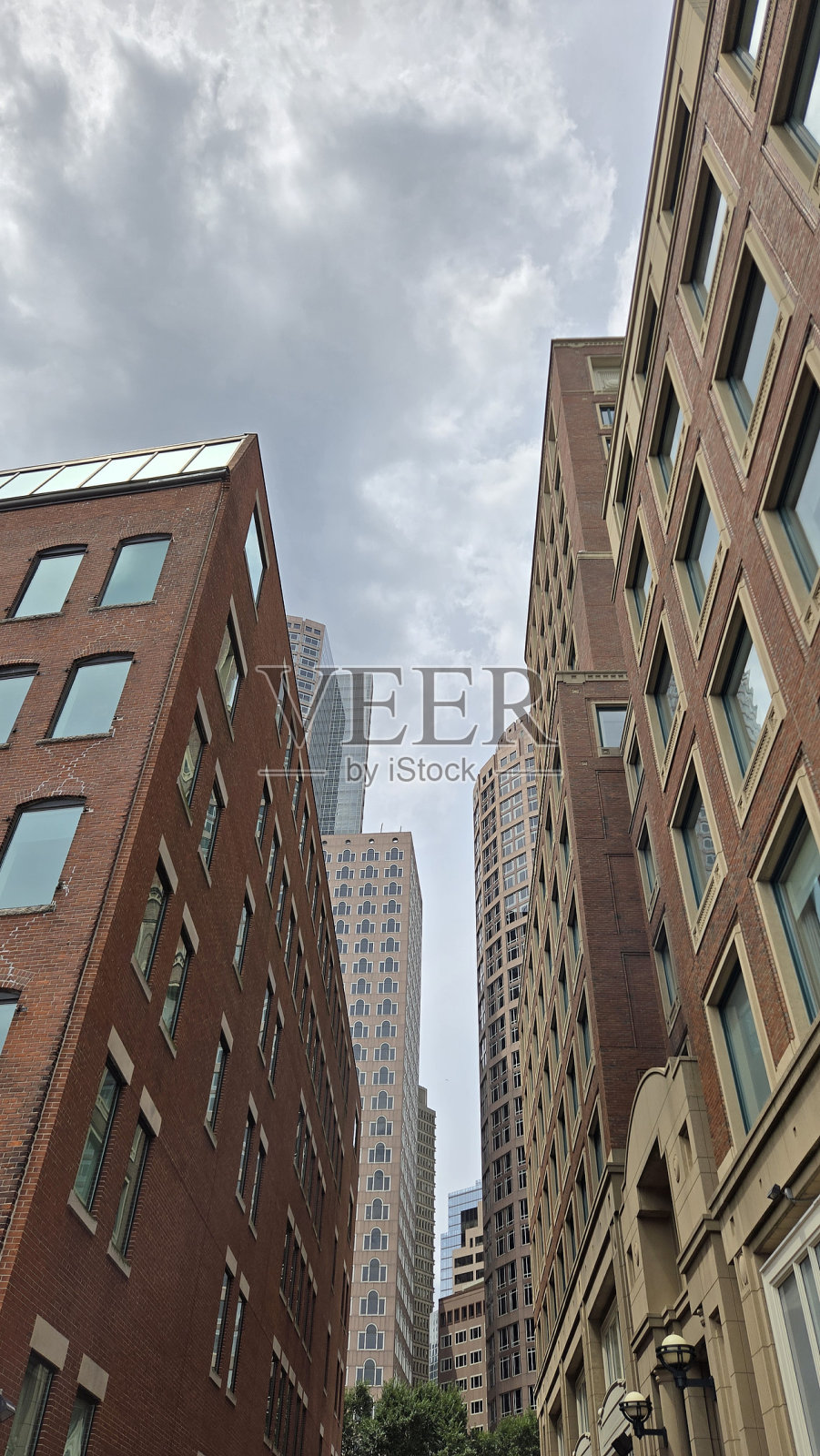 波士顿的摩天大楼照片摄影图片