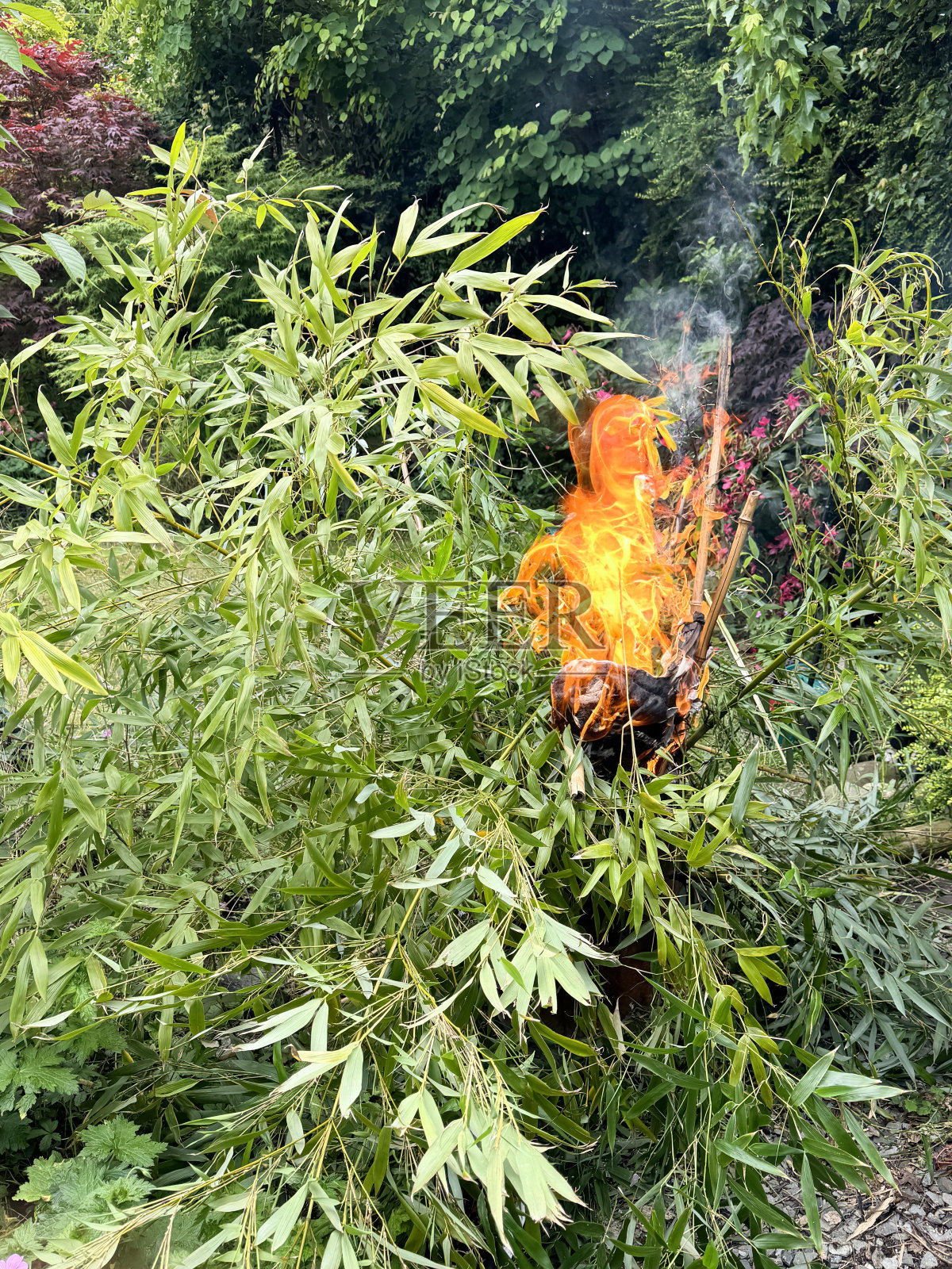 花园焚化炉使用篝火焚烧竹枝和藤条图像/有效地处理花园废物照片摄影图片