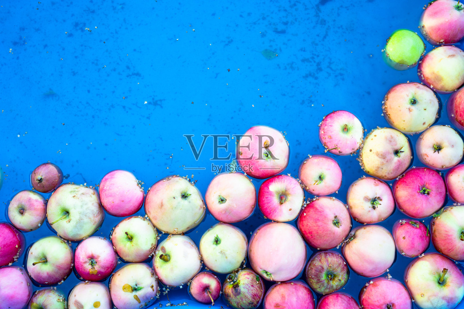 一串掉落的苹果漂浮在水面上照片摄影图片