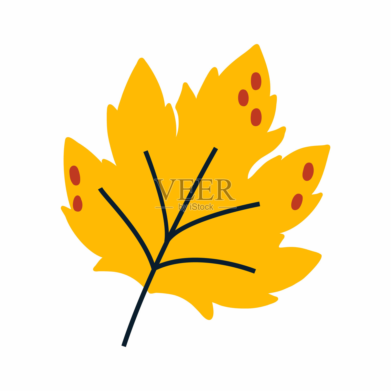 黄色的秋天枫叶。明信片的装饰元素。插画图片素材
