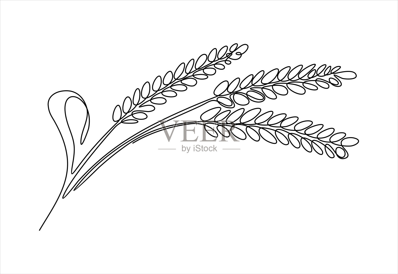 在白色背景上连续的单线画成熟的麦穗剪影。线性程式化。插画图片素材