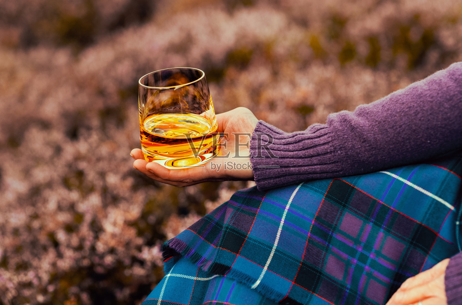 苏格兰石南花酿造的威士忌照片摄影图片