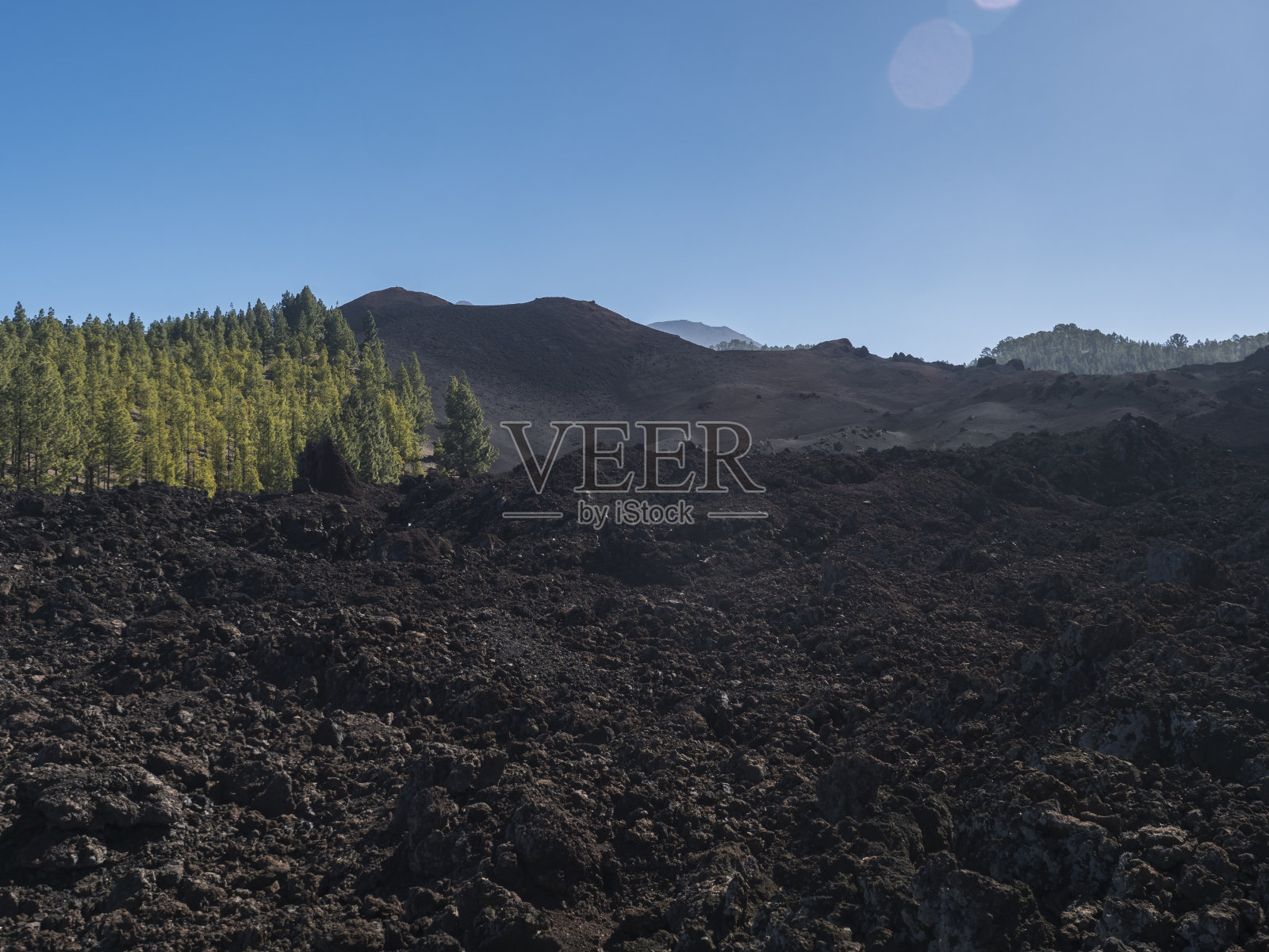 钦耶罗火山环行步道的火山景观。熔岩灰烬和岩石的黑色地面，加那利岛特有的绿色松树，大西洋和清澈的蓝天。西班牙特内里费照片摄影图片