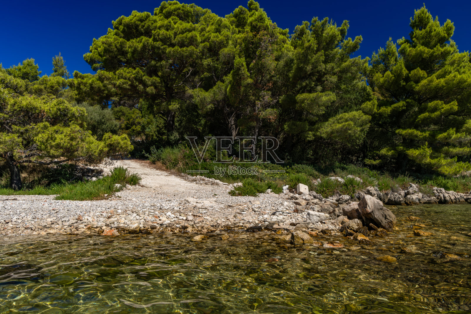 野生岩石海滩与棕榈树在亚得里亚海在佩列沙茨半岛卢卡海滩照片摄影图片