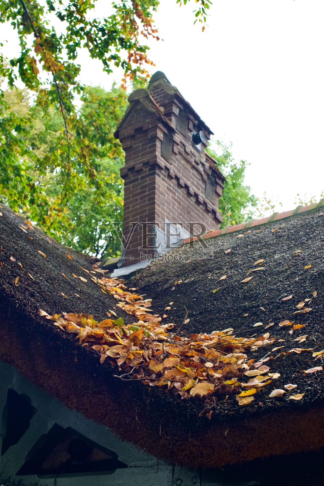 一个老茅草屋顶的特写，上面有秋天的落叶和砖砌的烟囱。照片摄影图片