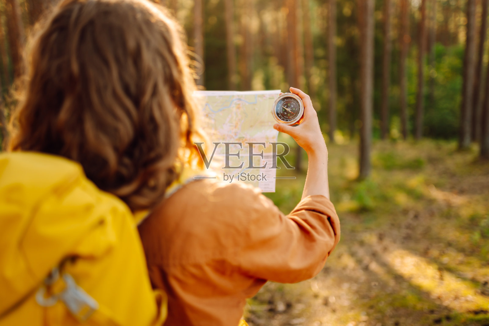 年轻的旅行者探险家手里拿着指南针和地图在森林里照片摄影图片
