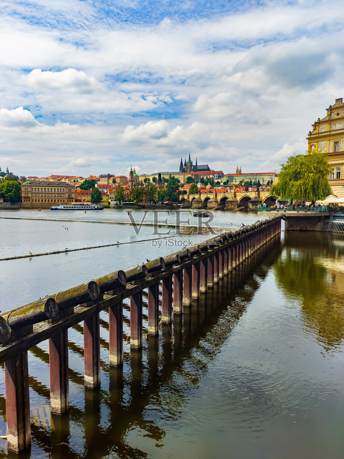 捷克布拉格查理大桥附近伏尔塔瓦河冰障中的原木照片摄影图片