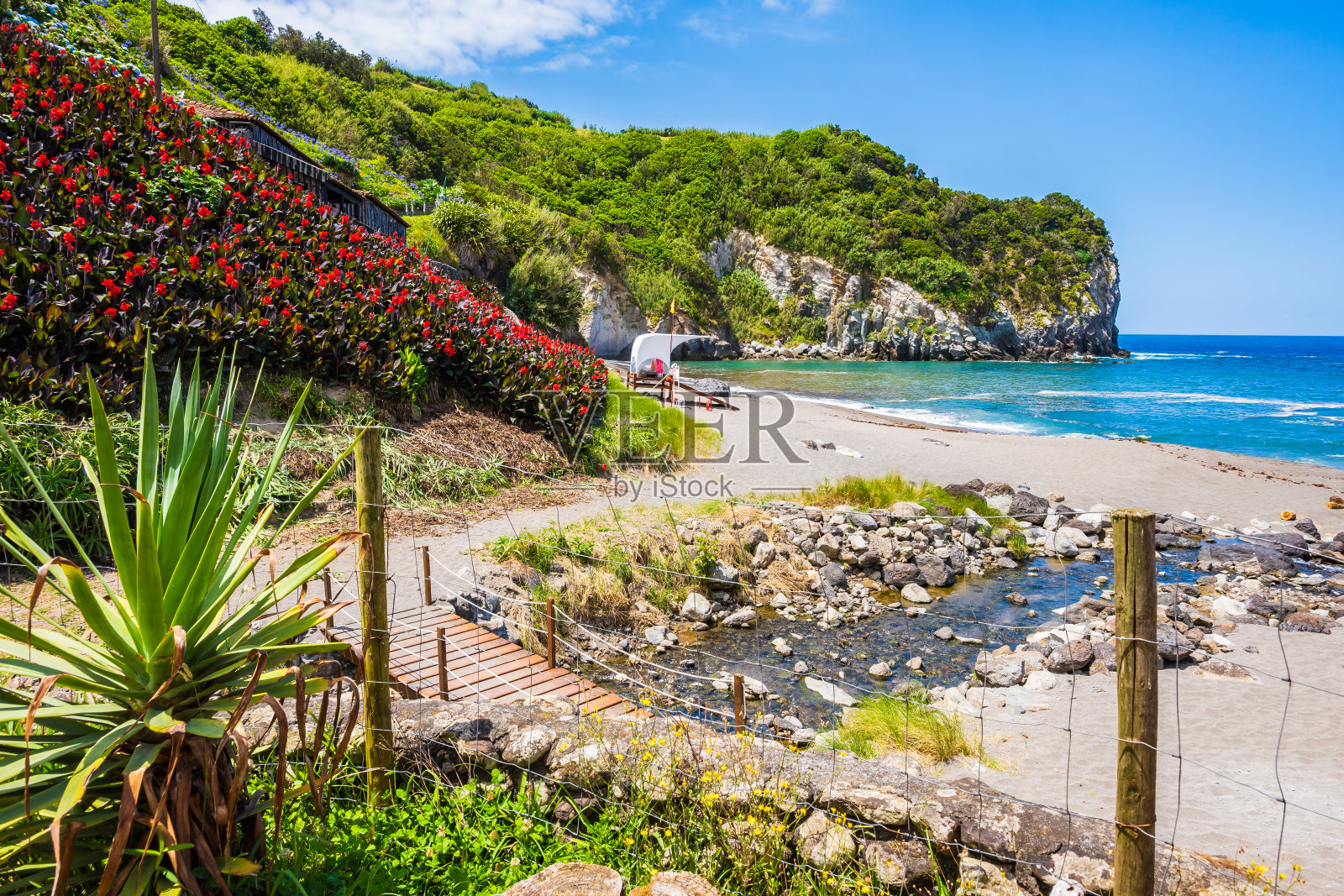 龙舌兰植物和莫因霍斯海滩与田园诗般的海湾，圣米格尔岛，亚速尔群岛，葡萄牙照片摄影图片