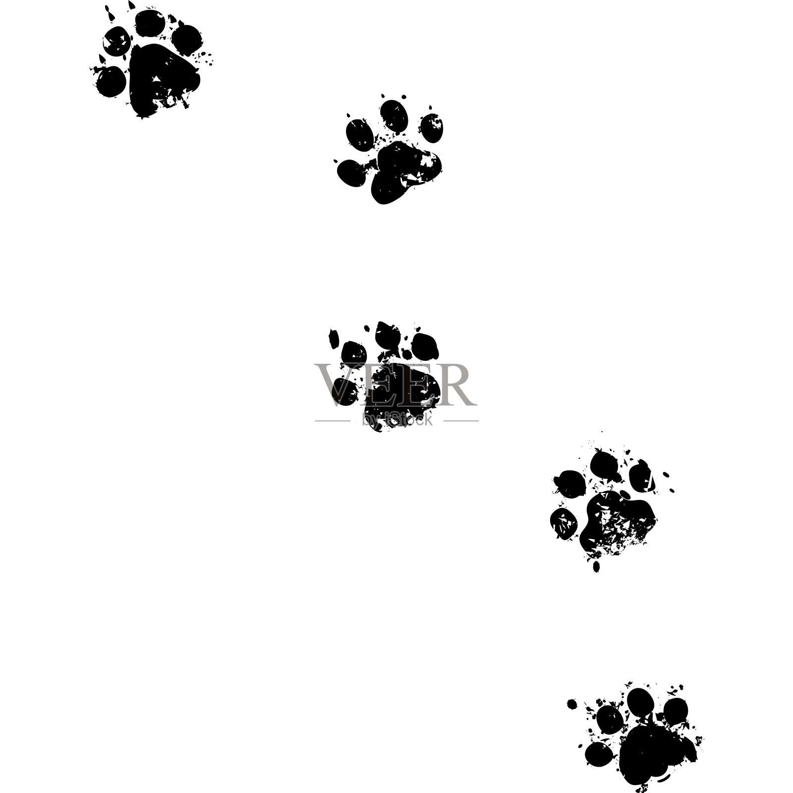 猫的照片插画图片素材