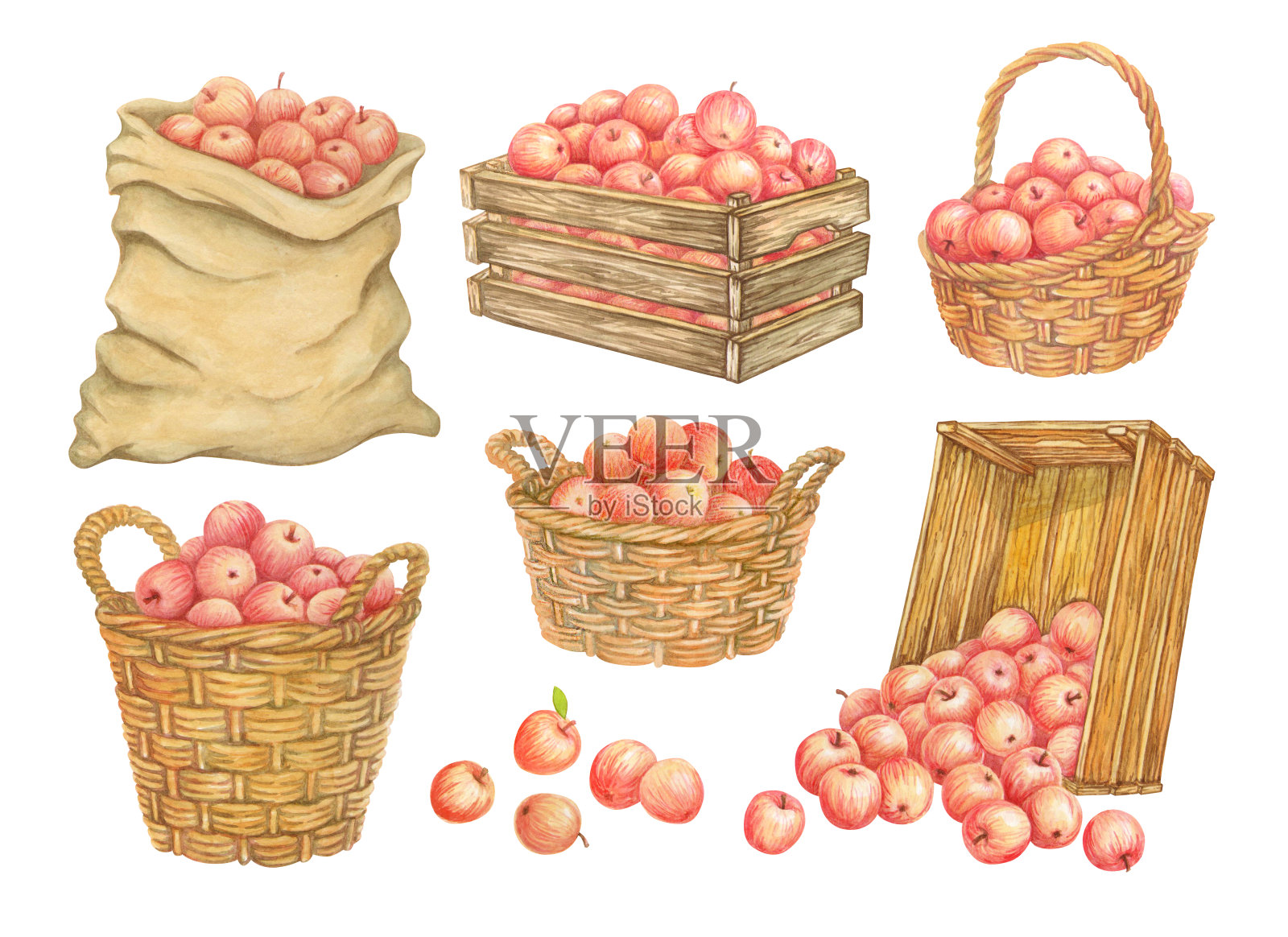 收集和储存收获物的容器。帆布袋的苹果。装有水果的旧木箱。装满庄稼的水彩柳条篮。一套孤立的手绘农贸市场或花园剪贴画插画图片素材