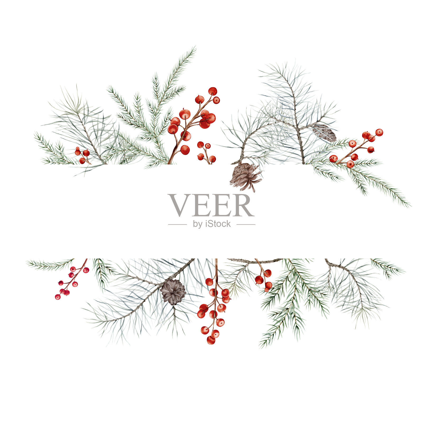 水彩圣诞花环与冷杉枝和文字的地方。插图贺卡与松果和邀请孤立的白色背景。冬青的树枝和红浆果。插画图片素材