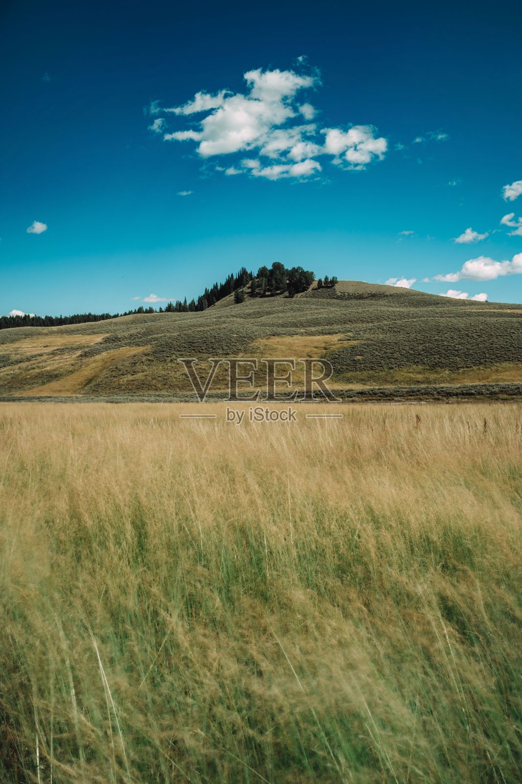 风景优美的草地与山和蓝天白云的背景照片摄影图片
