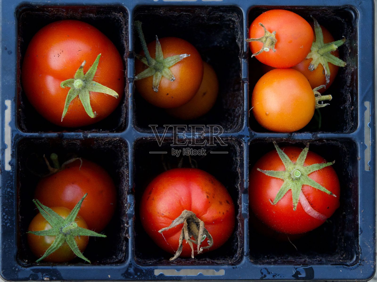 红色的圣女果被组织在黑色的容器里照片摄影图片