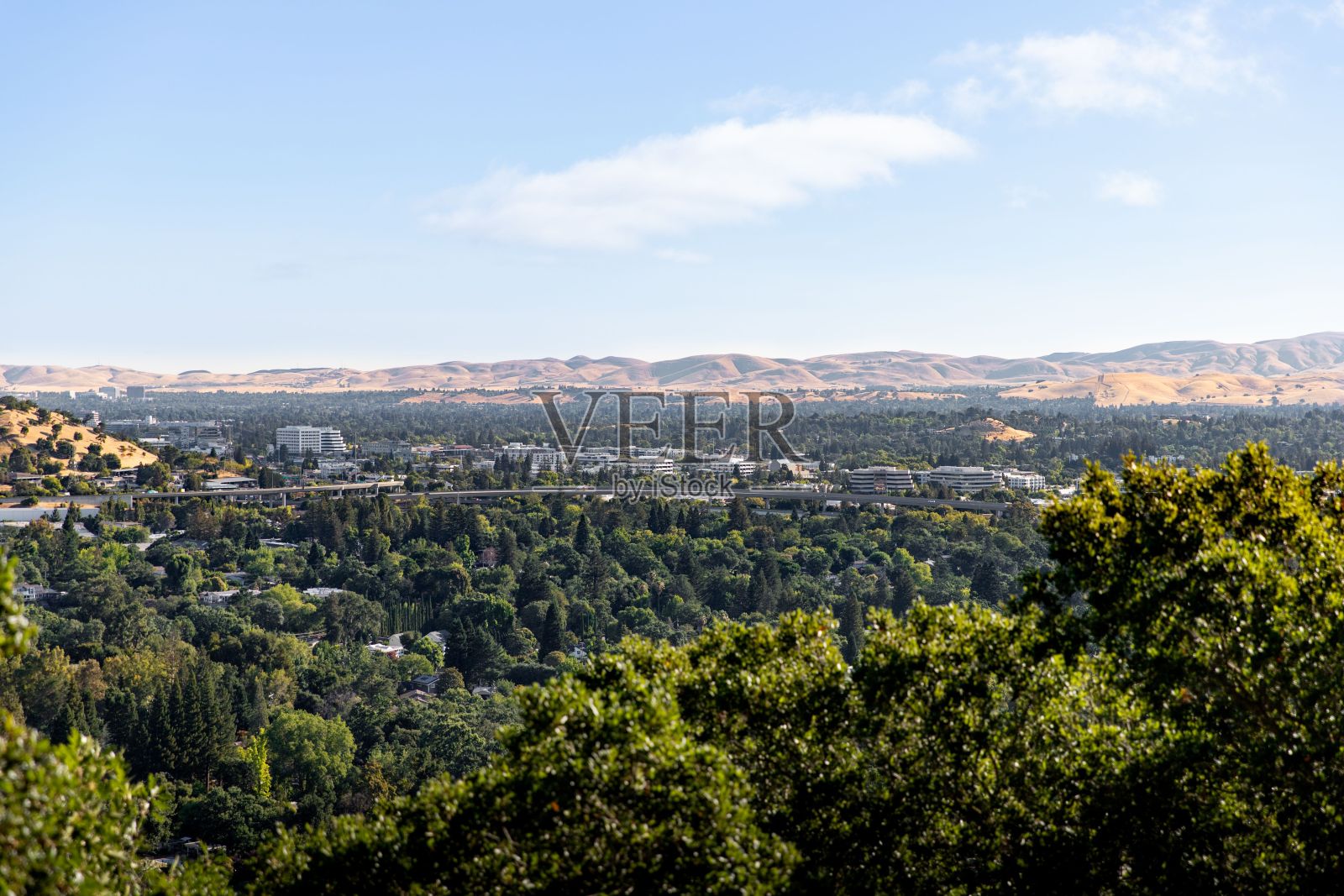 风景秀丽的郊区与郁郁葱葱的绿色植物和遥远的山丘在核桃溪照片摄影图片