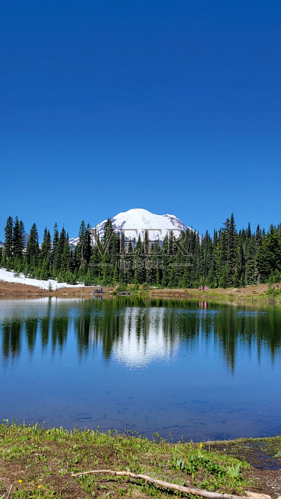在美国华盛顿州，蓝蓝的天空中，雷尼尔山倒映在蒂普苏湖上照片摄影图片