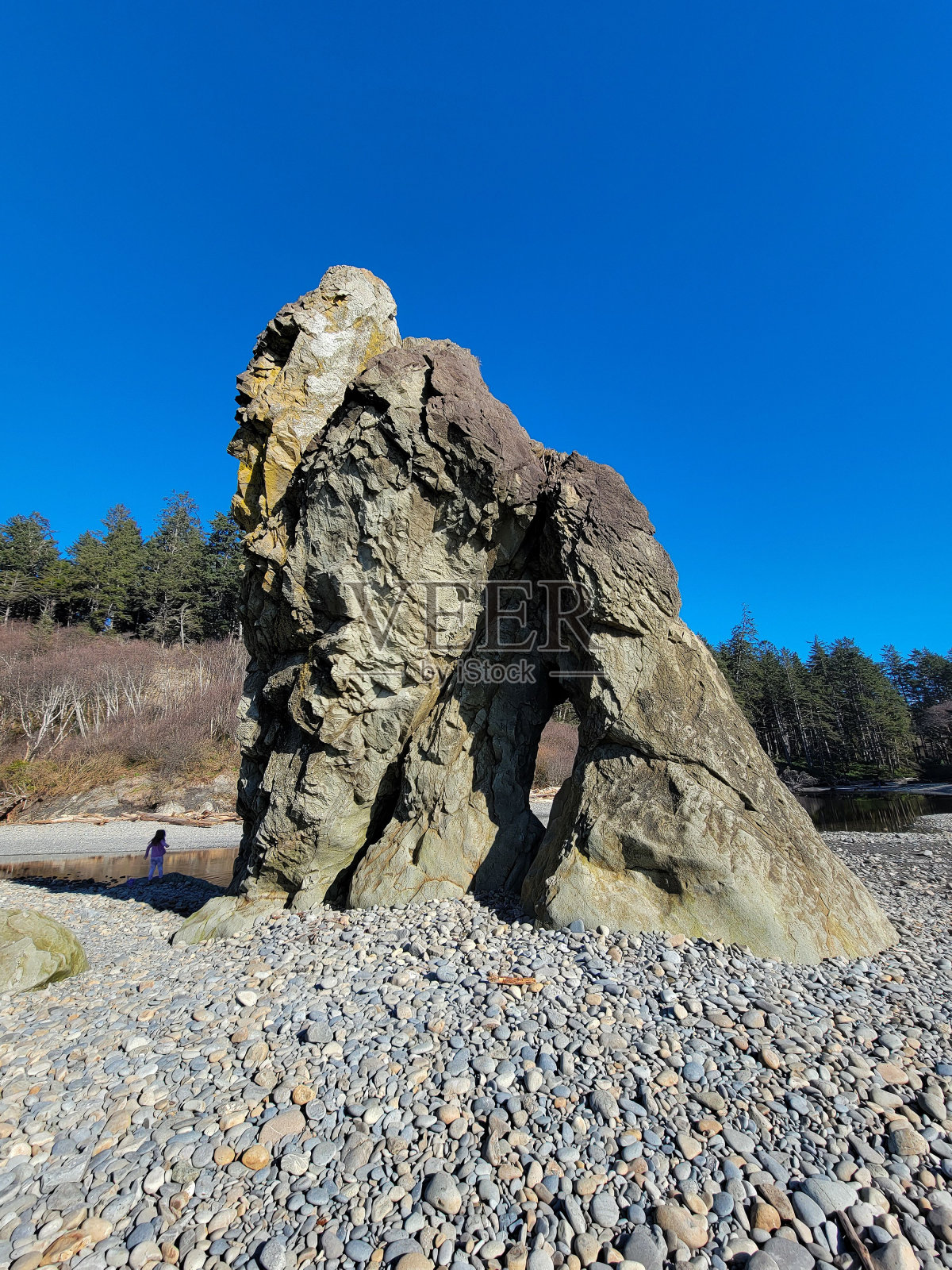 岩石形成的鹅卵石红宝石海滩与清澈的蓝天和森林的背景照片摄影图片