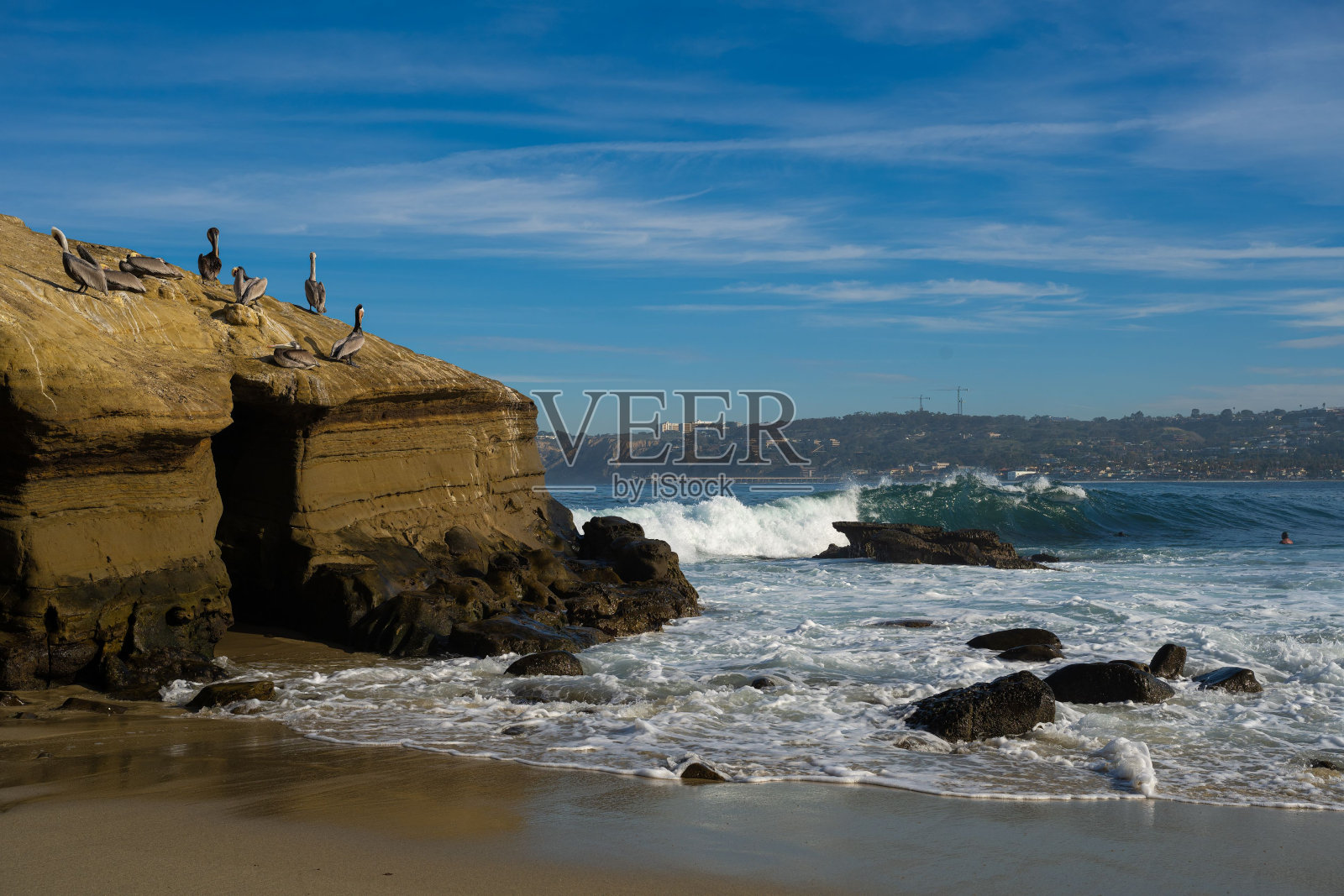 拉霍亚湾波涛汹涌，海岸在岩石之间，褐鹈鹕在休息照片摄影图片
