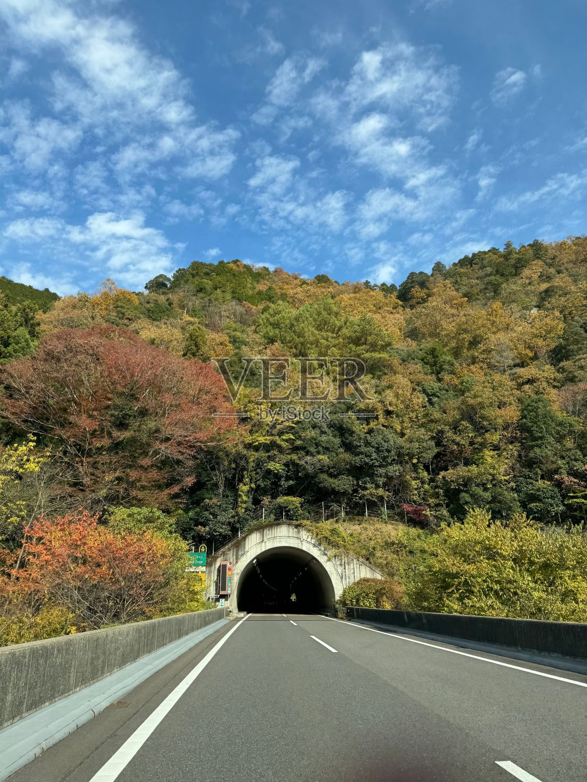 蓝天白云下，秋叶环绕的高速公路隧道风景照片摄影图片