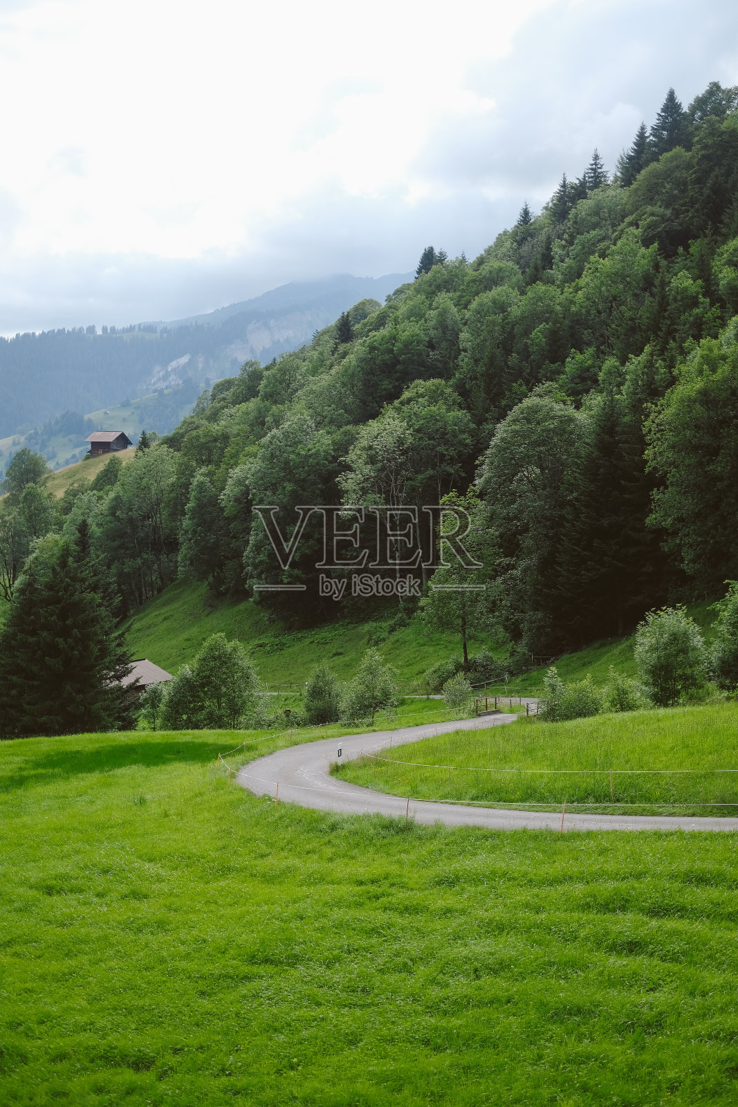 夏季山上草甸景色优美，道路蜿蜒照片摄影图片