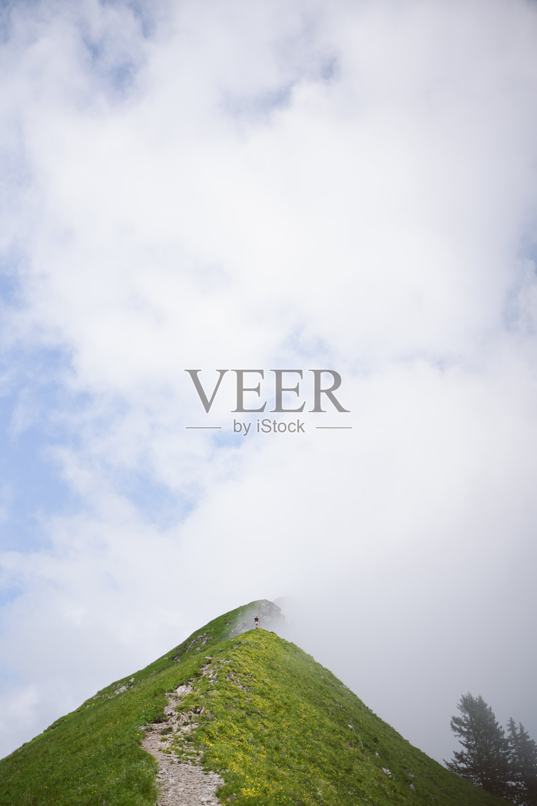 夏季山间草甸美景照片摄影图片