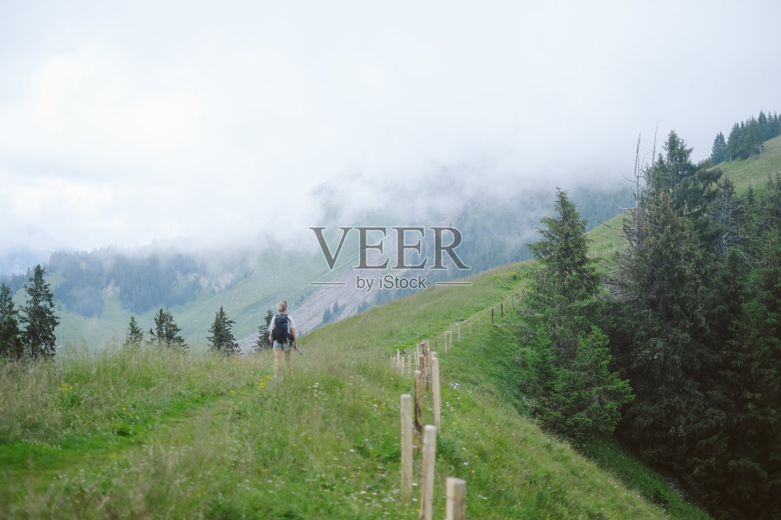 夏季山间草甸美景照片摄影图片