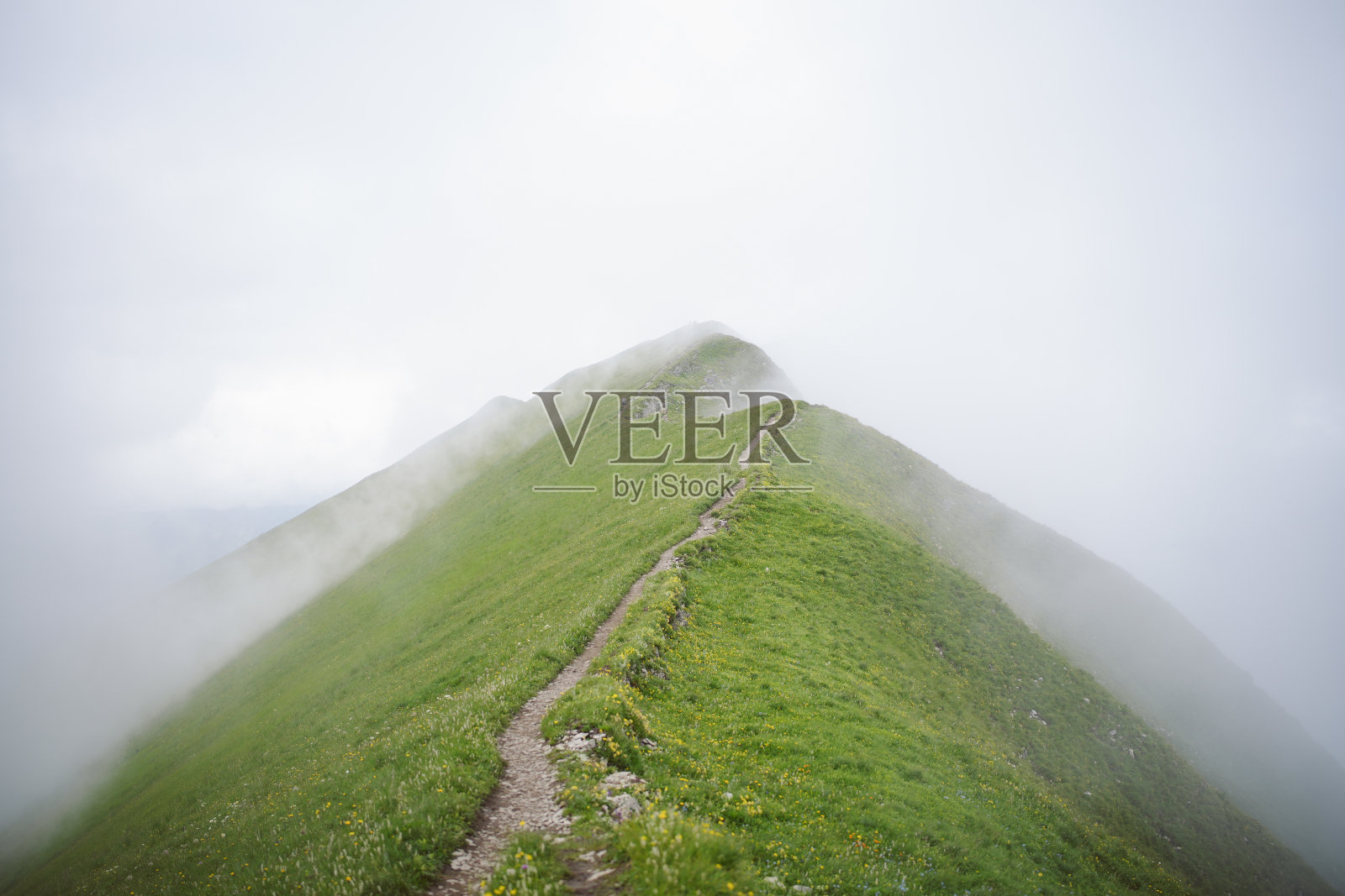 夏季山间草甸美景照片摄影图片