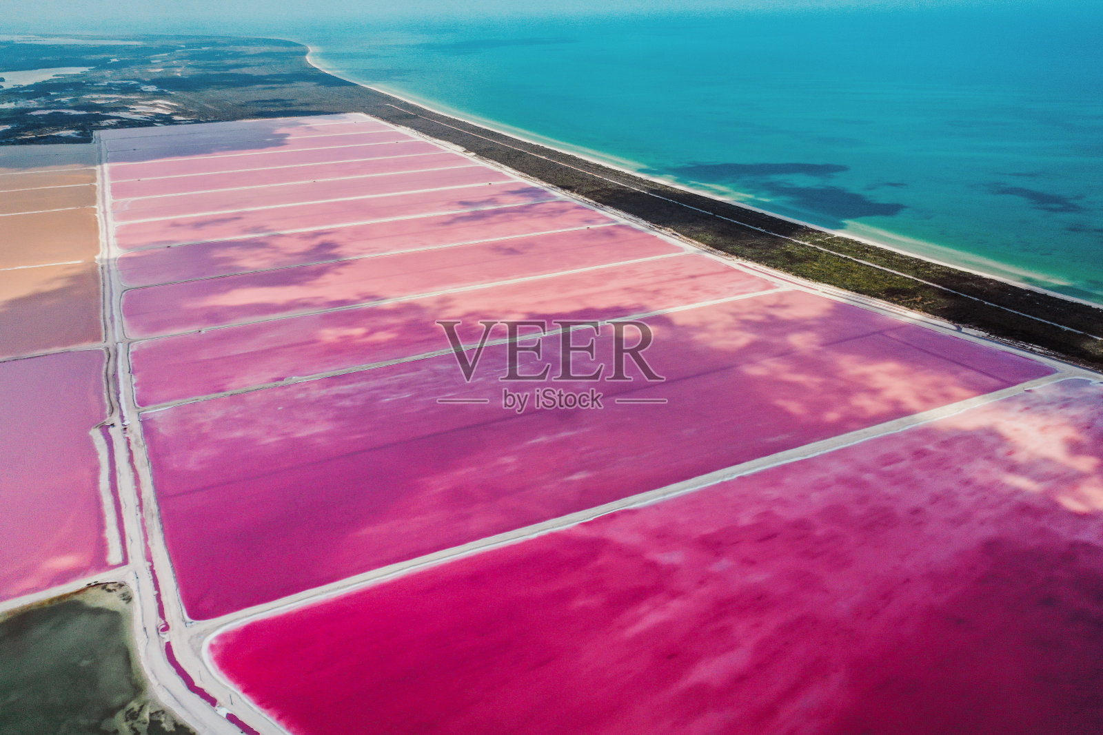 Las Coloradas和Ria Lagartos(尤卡坦/墨西哥)照片摄影图片