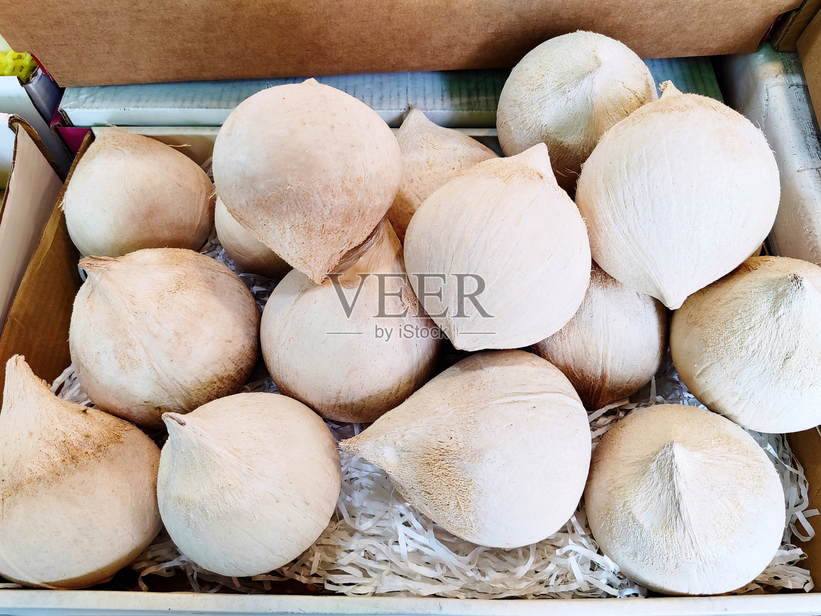 芳香的椰子照片摄影图片