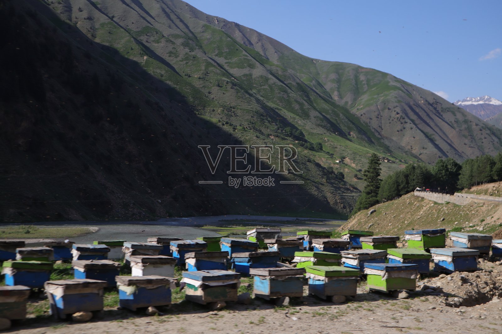 人工蜂房照片摄影图片