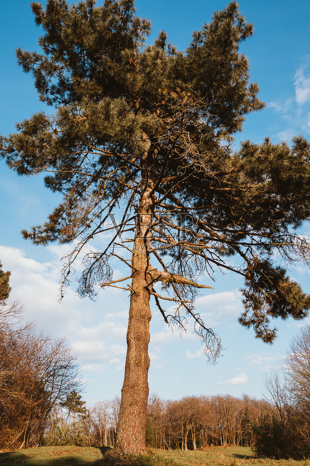 美丽的秋景在意大利的山区照片摄影图片