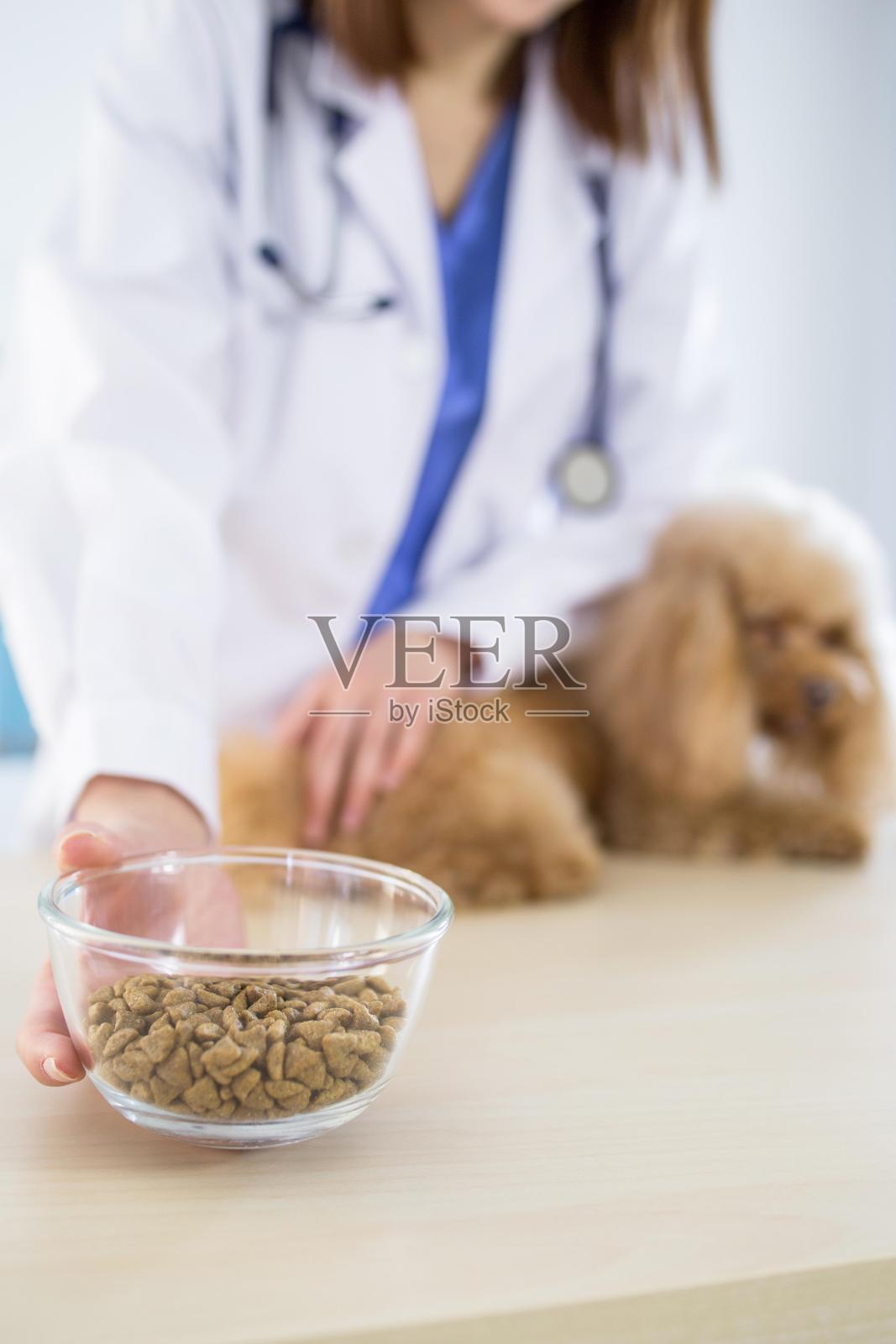 兽医拿着一碗干狗粮的特写，背景是狗照片摄影图片