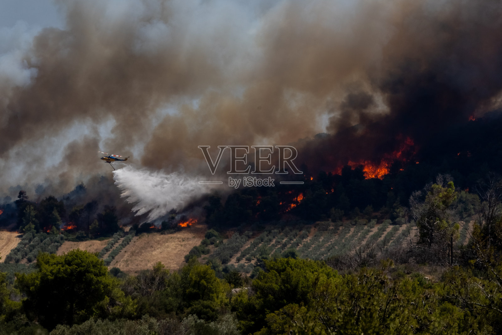 消防直升机和野火照片摄影图片