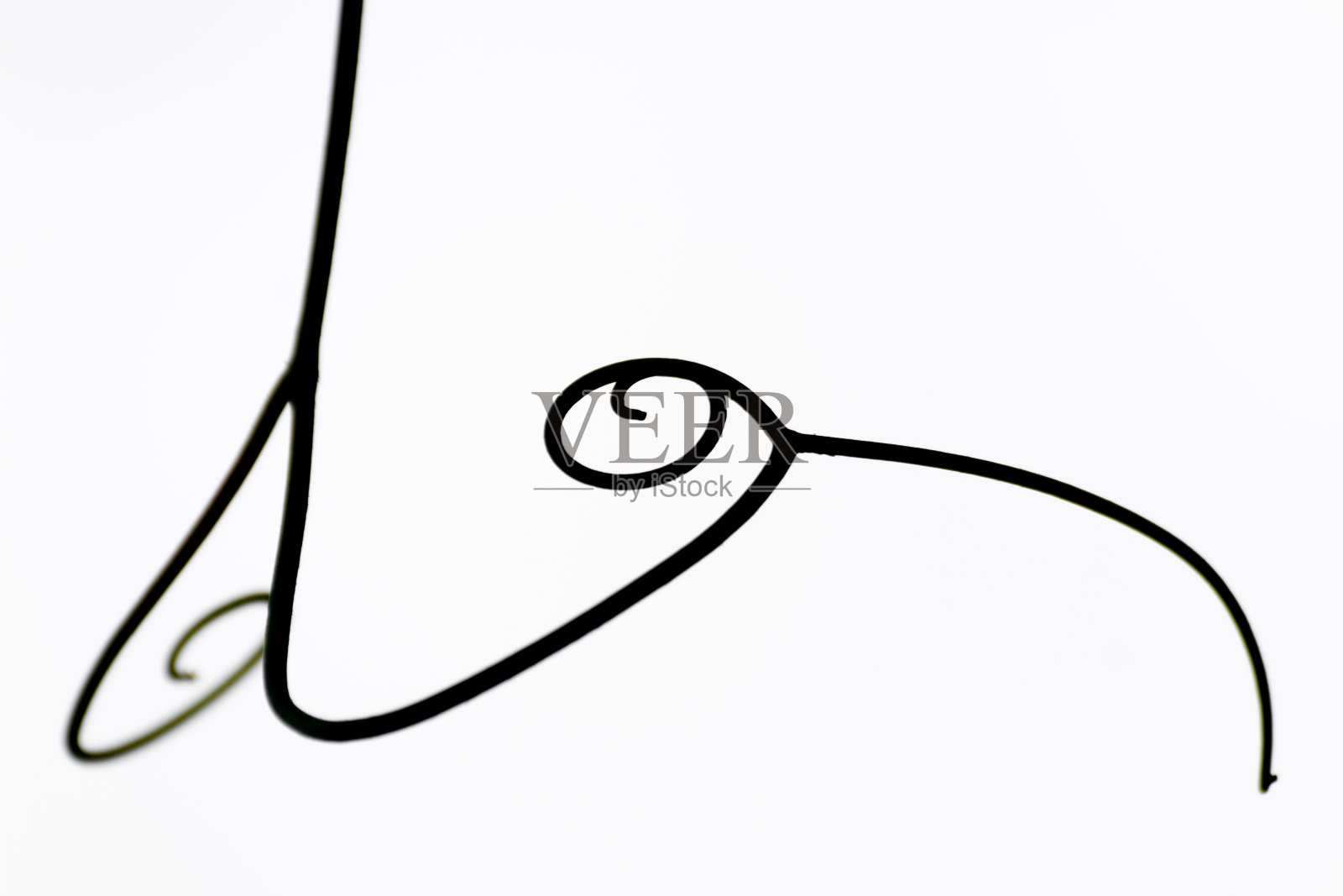 柔嫩的藤蔓树枝在天空的背景下形成一个抽象的轮廓照片摄影图片