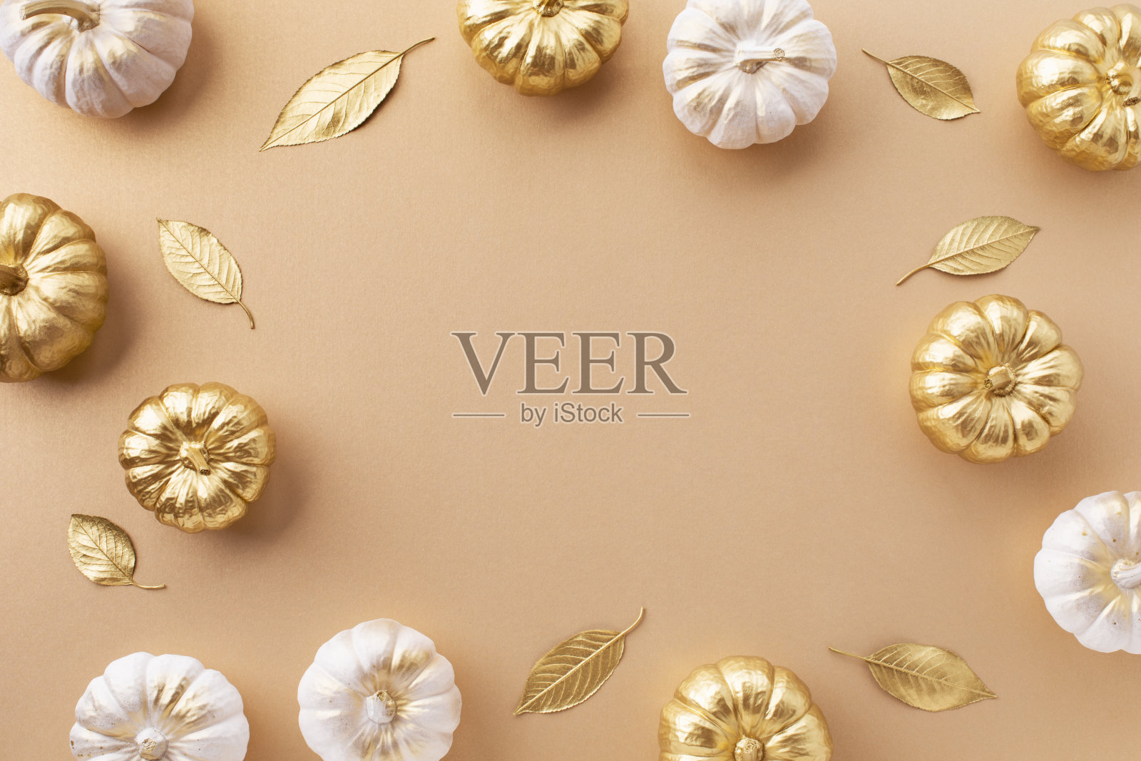 秋天和感恩节贺卡与程式化的白色和金色装饰南瓜和金色的叶子顶视图。照片摄影图片