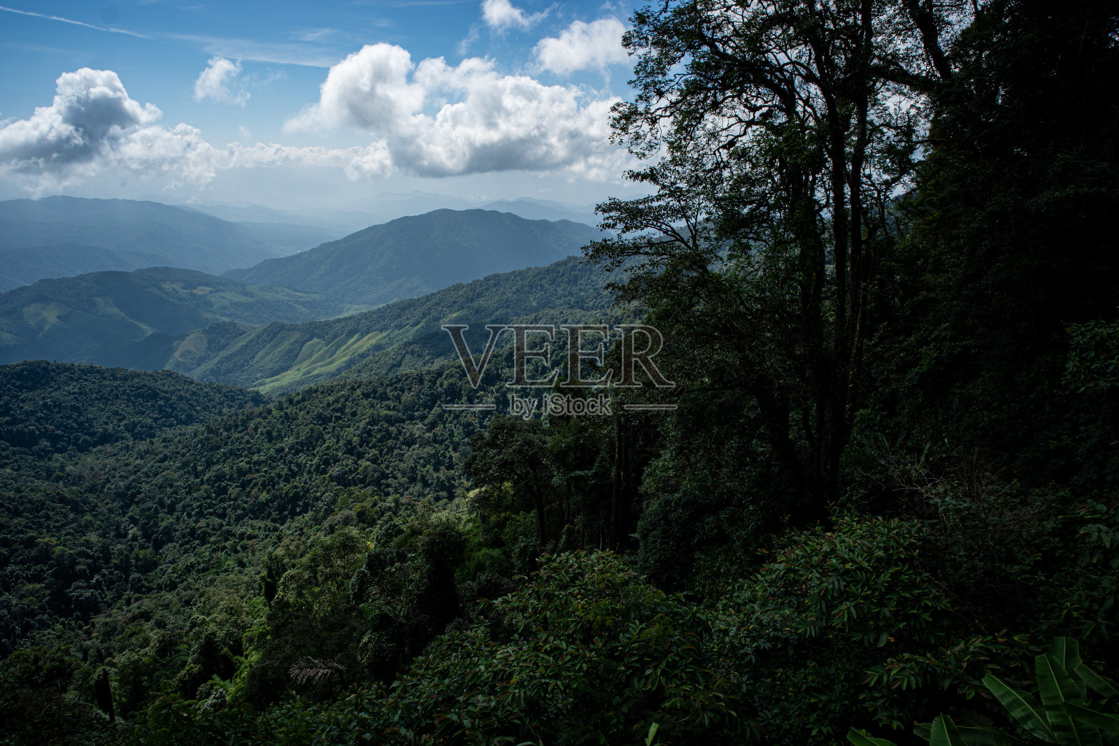 乡村山路照片摄影图片