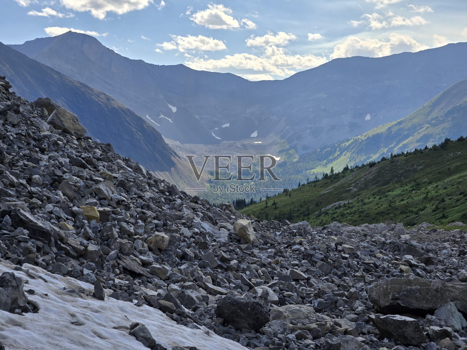 松鸡Cirq照片摄影图片
